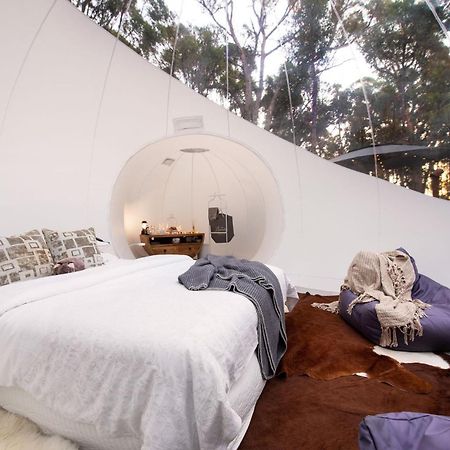 Skyview Bubbletent Eganstown Dış mekan fotoğraf