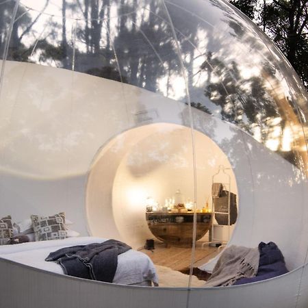 Skyview Bubbletent Eganstown Dış mekan fotoğraf