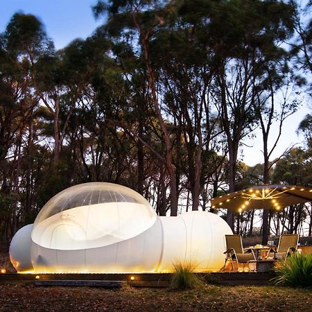 Skyview Bubbletent Eganstown Dış mekan fotoğraf